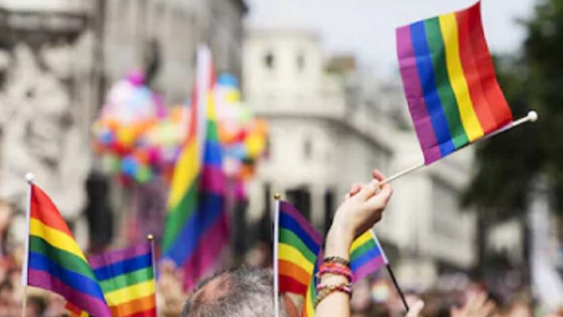 თბილისი პრაიდი საგანგებო განცხადებას ავრცელებს - Metronome.Ge