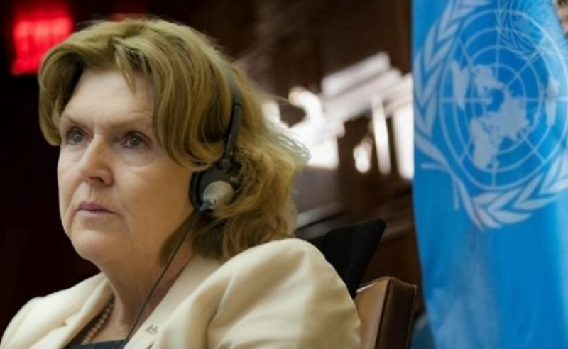 “საქართველოს მთავრობას უფლებადამცველების წინააღმდეგ ადმინისტრაციული ბრალდებების შესახებ მივწერე, სამწუხაროდ, პასუხი არ გაუციათ” – გაერო-ს სპეციალური მომხსენებელი უფლებადამცველთა საკითხებში