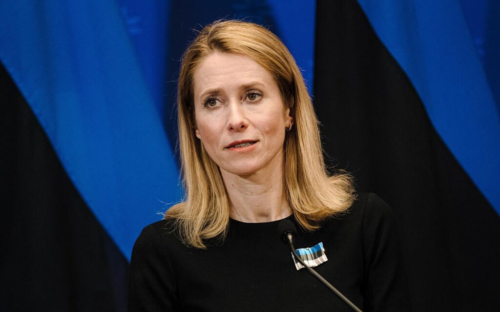 “აშშ-ში გაჟღერებული ევროკავშირის საწინააღმდეგო განცხადებები პროვოკაციაა და ალბათ, რუსეთისკენ უნდა იყოს მიმართული” – კაია კალასი