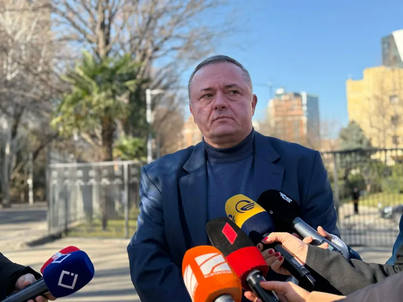 “ბატონ გრიგოლს მიაჩნია, რომ მის წინააღმდეგ არ შეიძლება იყოს პირდაპირი მტკიცებულებები ამ ბრალდებაში ასახულ გარემოებებზე”- ლილუაშვილის ადვოკატი