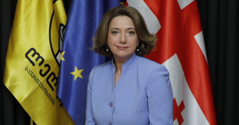 “მნიშვნელოვანია, ევროკავშირისგან ეს პოლიტიკური მხარდაჭერა გამოვიყენოთ იმისთვის, რომ სრულყოფილად იყოს გამოძიებული, რა ნივთიერებით მოწამლა საკუთარი მოქალაქეები ივანიშვილის რეჟიმმა გასულ წელს” – სალომე სამადაშვილი